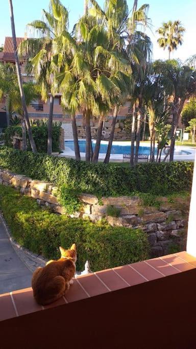 Appartement Planta Baja Cerca De La Playa Casares Costa Extérieur photo